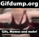 Gifs, Memes und vieles mehr bei Gifdump.org