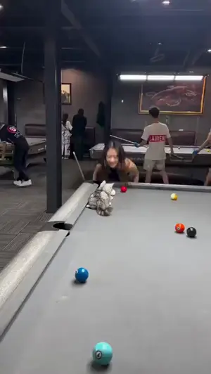 pool katze