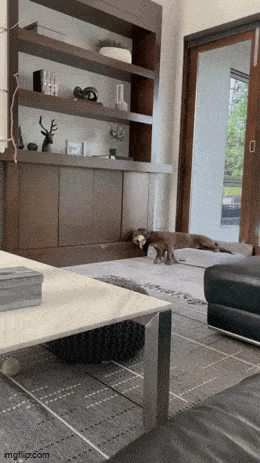 Wieder neue Gifs bei izismile izi 02 28 60