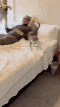 Babysitten für faule Leute babysitten faule