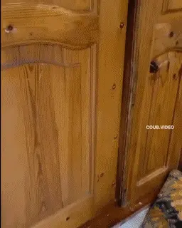 Wenn das Finanzamt vor der Tür steht katgze tuer