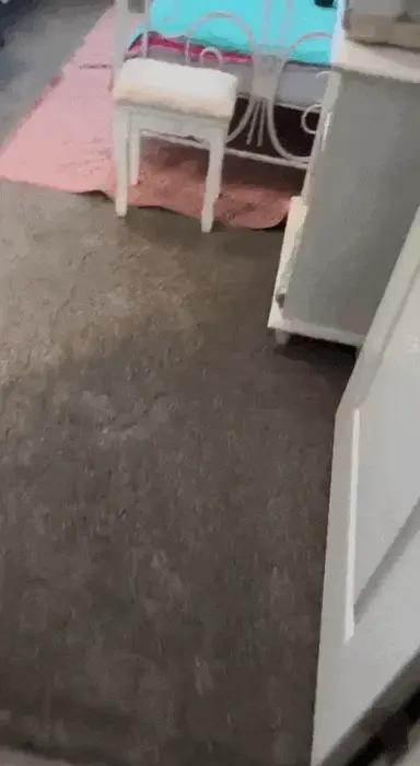 Hilfe, ich habe mich verheddert woll katze