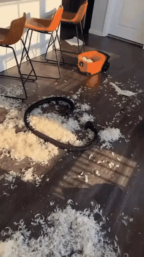 Hund ist mit seiner Arbeit zufrieden hund unfug