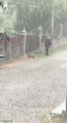 Bei jedem Wetter Rasen mähen rasen maehen